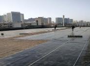 采取哪些措施才能提高龙泉驿屋面防水工程的质量呢？